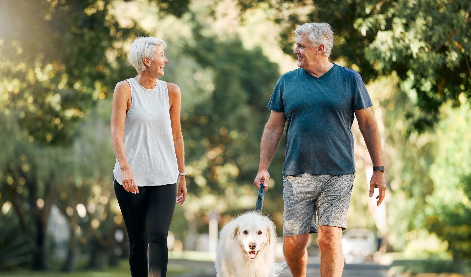 a man and woman walking a dog